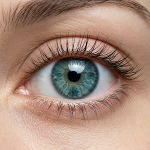 Poux de sourcils et de cils : Le Guide Médical Complet (Phthiriasis Palpebrarum)